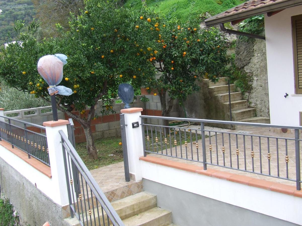 Relax Vista Eolie Διαμέρισμα Piraino Εξωτερικό φωτογραφία